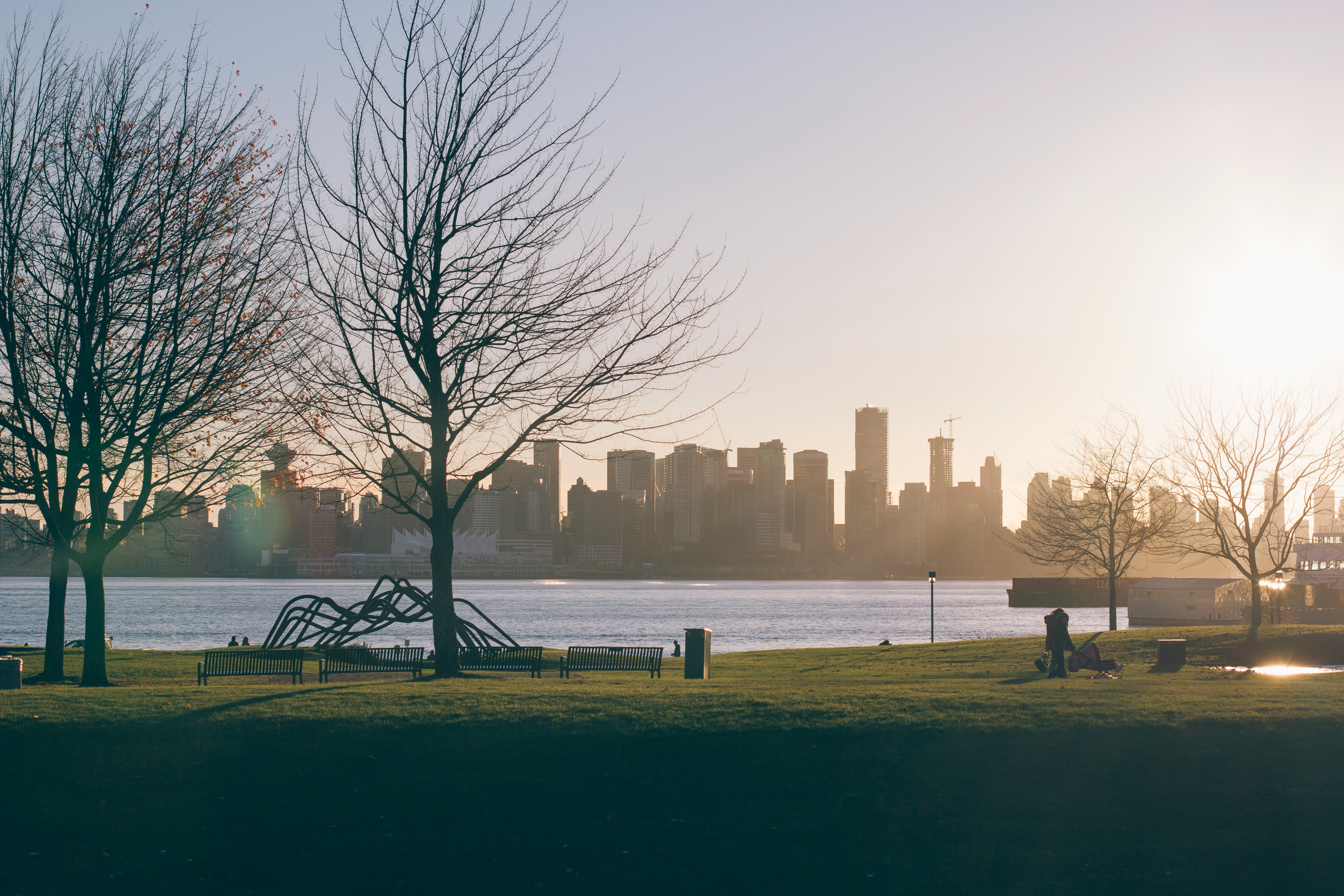 three bare trees standing beside a body of water